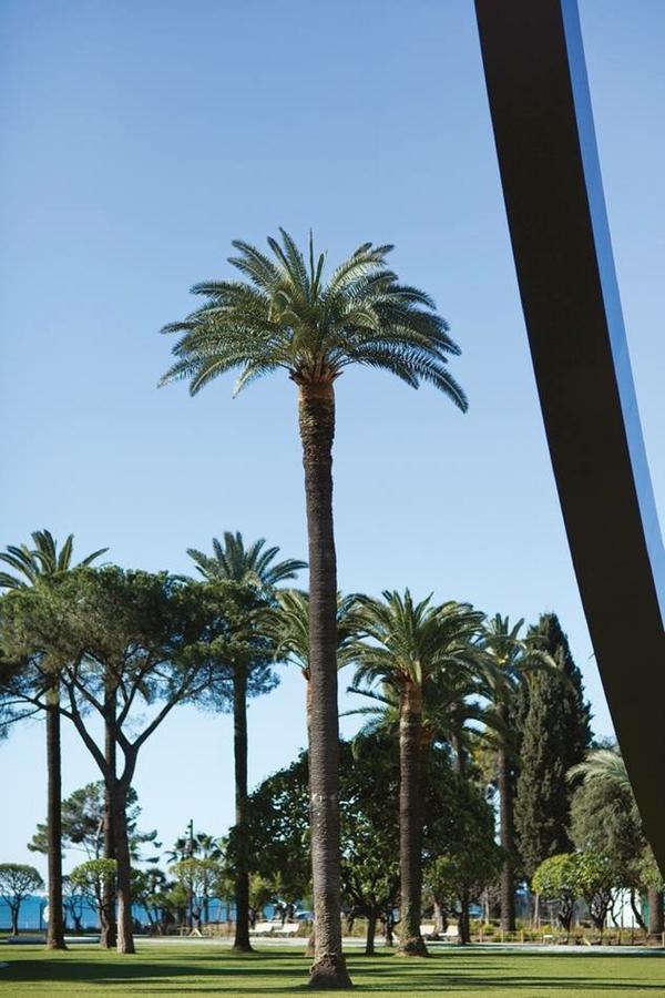 Le Prefecture - Luxueux F3 En Duplex, Ascenseur, Coeur Vieux-Nice Appartamento Esterno foto